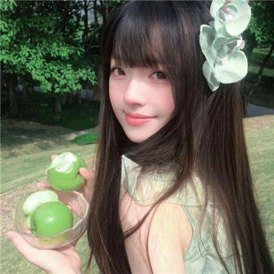 拜访森林